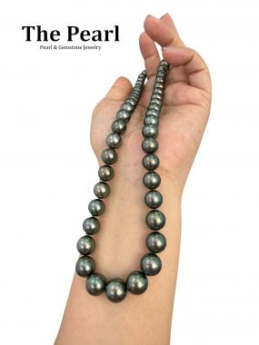 AURORA PEACOK - NỮ HOÀNG CỦA NỮ HOÀNG 