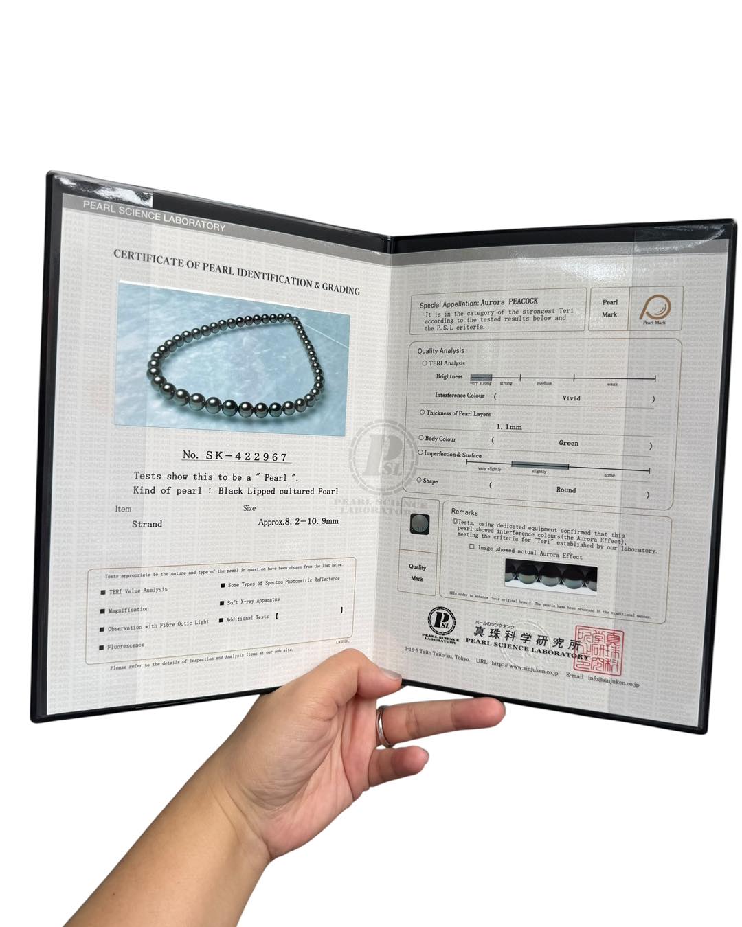 CÂU CHUYỆN VỀ CHIẾC CHUỖI NGỌC TRAI ĐEN MÀU XANH LÔNG CÔNG 