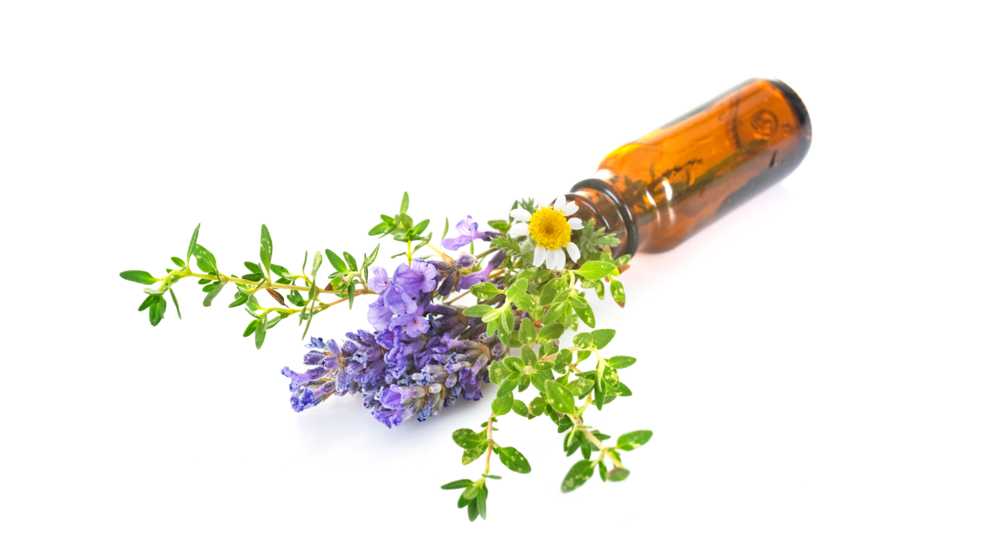 Thiên nhiên và nguồn cảm hứng bất tận