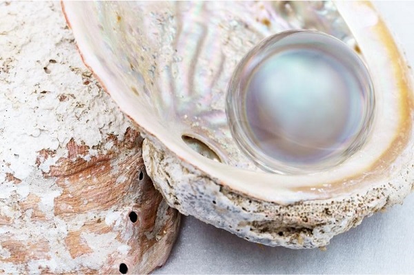 Ý nghĩa của ngọc trai và những truyền thuyết về ngọc trai