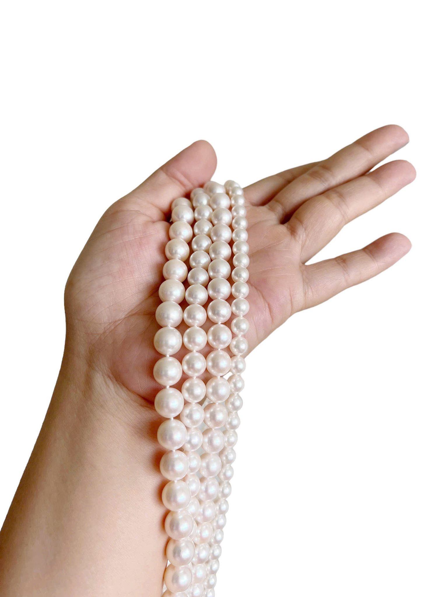 NGỌC TRAI AKOYA VÀ NGỌC TRAI NƯỚC NGỌT 